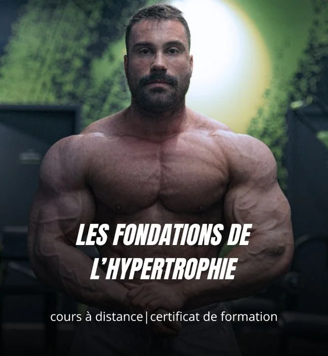 Cours Hypertrophie AW School : Les fondations de l'hypertrophie, cours à distance avec certificat de formation